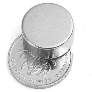 Dünya Magnet Çap 20MM x Kalınlık 10MM Yuvarlak Güçlü Neodyum Mıknatıs