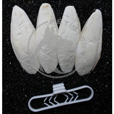 Petistera 4'lü Temizlenmiş Mürekkep Balığı (Kalamar) Kemiği 8 cm ve