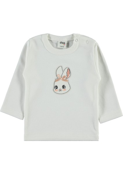 Kız Bebek 3'lü Takım 6-18 Ay Pudra fiyatları