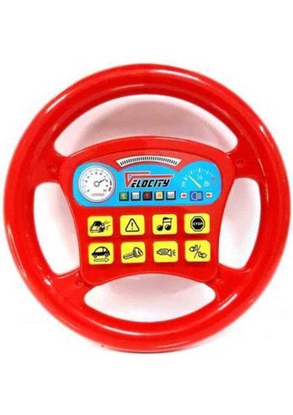 Pilli Türkçe Müzikli Direksiyon