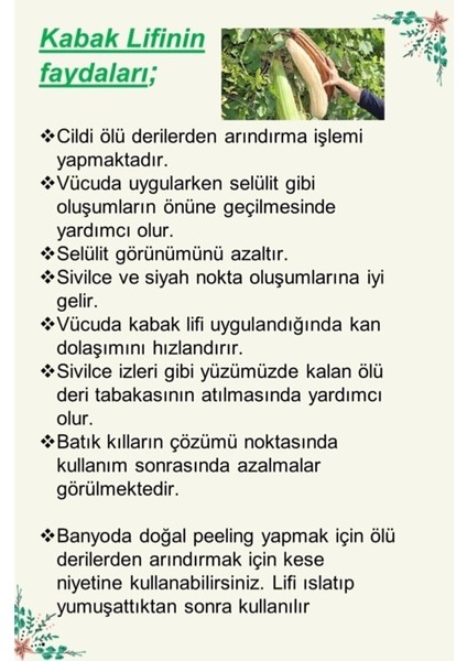 %100 Doğal At Kılı Batık Fırçası ve Kabak Lifli Ballı Eşek Sütlü Sabun 2'li Seti S