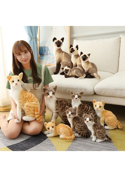 Simülasyon Siyam Kedi Bebek Kedi Peluş Oyuncak (Yurt Dışından)
