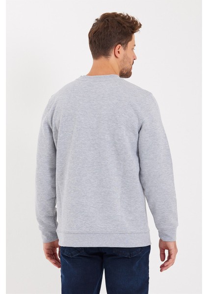 Erkek Rich Gri Bisiklet Yaka Normal Kesim 3 Iplik Sweatshirt indirimleri