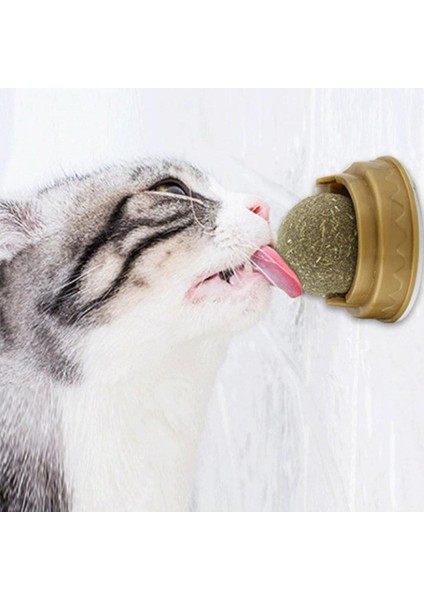 Doğal Catnipli Yenilebilir Kedi Nanesi Otu Oyun Topu Oyuncağı Cat Mint Top Oyuncak modelleri