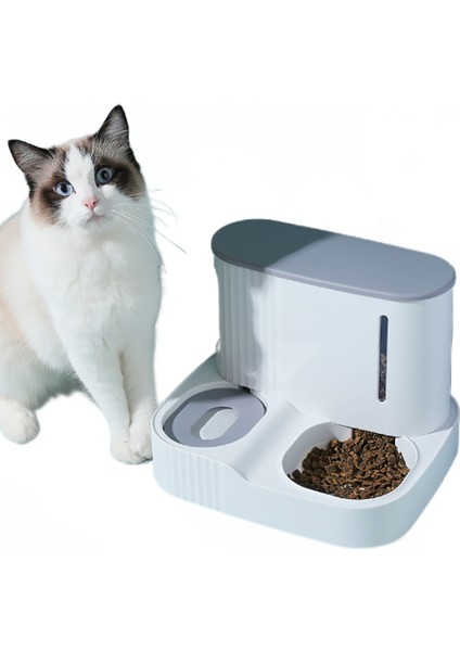 Pet Otomatik Besleyici Seti Büyük Kapasiteli Kedi Gıda Dağıtıcı Oto Köpekler Su Içme Çeşmesi Evcil Hayvanlar Kase Besleme Konteyner | Kedi Besleme ve sulama Malzemeleri (Gri)