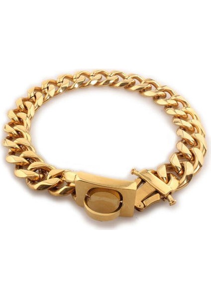 Güçlü Metal Köpek Zincir Yaka Paslanmaz Çelik Pet Eğitim Boğazı Yaka Büyük Köpekler Pitbull Bulldog Gümüş Gold Gösterisi Yaka (15X35 Cm)