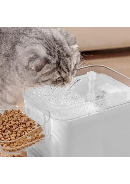 Otomatik Kedi Köpek Su Çeşmesi Akıllı Pet Içme Kase ile Kızılötesi Hareket Sensörü ile Pet Su Dağıtıcı Besleyici ile Aydınlatma | Kedi Besleme ve sulama Malzemeleri (Beyaz) fırsatları
