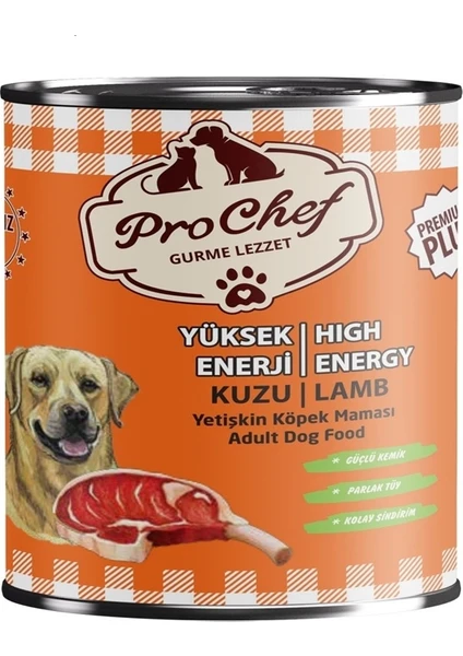 24 Adet Premium Plus Yetişkin Yüksek Enerji Köpek Maması | 415 gr Kuzu Etli Konserve Yaş Mama