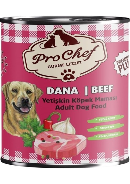 24 Adet Premium Plus Yetişkin Köpek Maması | 415 gr Dana Etli Konserve Yaş Mama