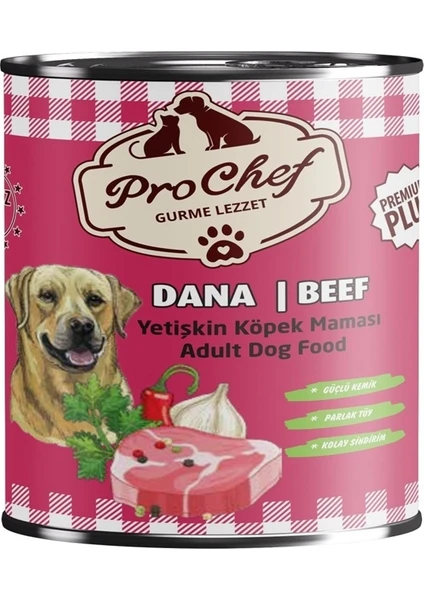 24 Adet Premium Plus Yetişkin Köpek Maması | 415 gr Dana Etli Konserve Yaş Mama