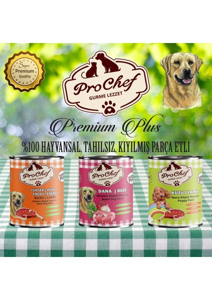 24 Adet Premium Plus Yetişkin Köpek Maması | 415 gr Dana Etli Konserve Yaş Mama