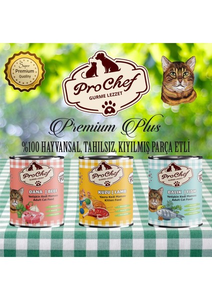 24 Adet Premium Plus Yetişkin Köpek Maması | 415 gr Dana Etli Konserve Yaş Mama