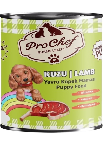 24 Adet Premium Plus Yavru Köpek Maması | 415 gr Kuzu Etli Konserve Yaş Mama