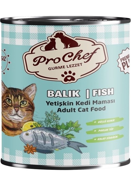 24 Adet Premium Plus Yetişkin Kedi Maması | 415 gr Balık Etli Konserve Yaş Mama