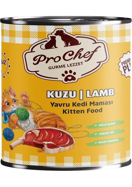 24 Adet Premium Plus Yavru Kedi Maması | 415 gr Kuzu Etli Konserve Yaş Mama