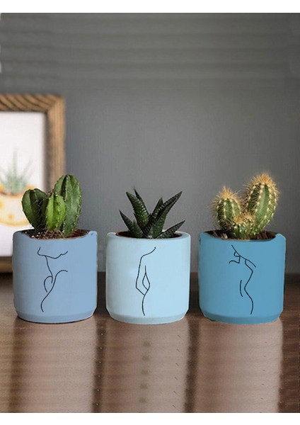 Minimalist Kadın Çizimli 3lü Set Kaktüs ve Sukulent Saksısı Hediyelik (Çiçeksiz)