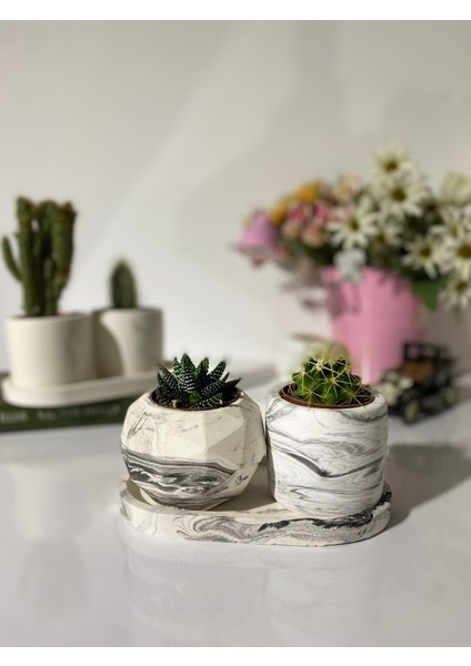 Tabaklı Mermer Desen Silindir ve Geometrik Saksı Seti(Çiçeksiz)