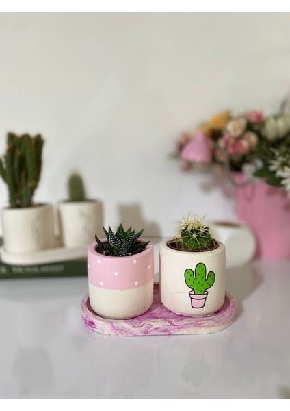 Tabaklı Pembe Tatlı Kaktüs Desenli El Çizimi Saksı Seti Hediyelik Kalemlik(Çiçeksiz)