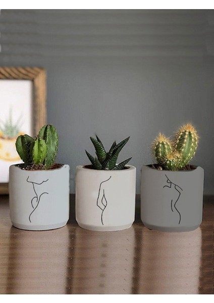 Minimalist Kadın Çizimli 3lü Set Kaktüs ve Sukulent Saksısı Hediyelik (Çiçeksiz)
