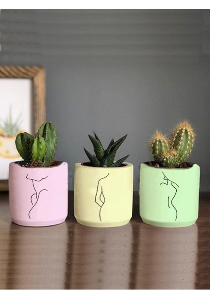Pastel Renkli Minimalist Kadın Çizimli 3lü Set Kaktüs ve Sukulent Saksısı Hediyelik (Çiçeksiz)