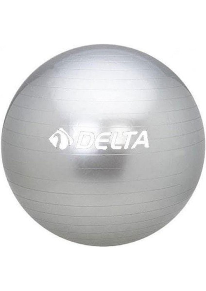 55 cm Dura-Strong Deluxe Gümüş Pilates Topu