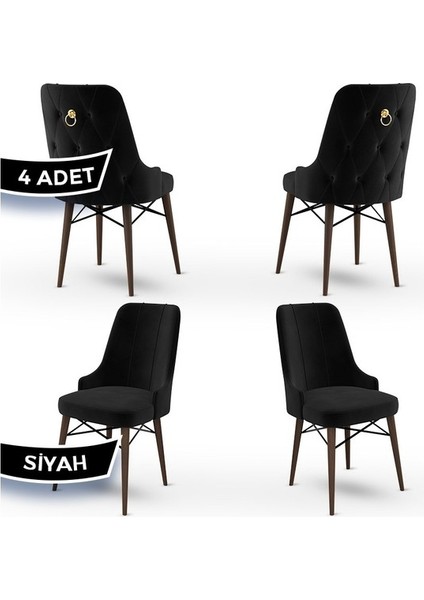 Concept Pare Serisi, 1.sınıf Babyface Ithal Kumaş, 4 Adet Sandalye, Ceviz Gürgen Ayak, Gold Halkalı