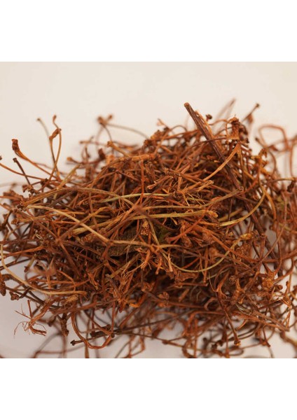 Kiraz Sapı Prunus Avium 50 gr