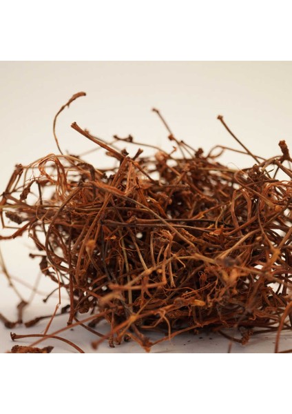 Kiraz Sapı Prunus Avium 50 gr