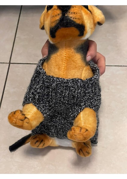 El Örgüsü Kedi Köpek Kıyafeti Pet Shop Hayvan Giyim modelleri