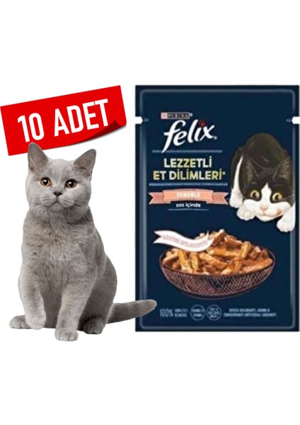 Lezzetli Et Dilimleri Somonlu Yaş Kedi Maması - 80 gr x 10 Adet