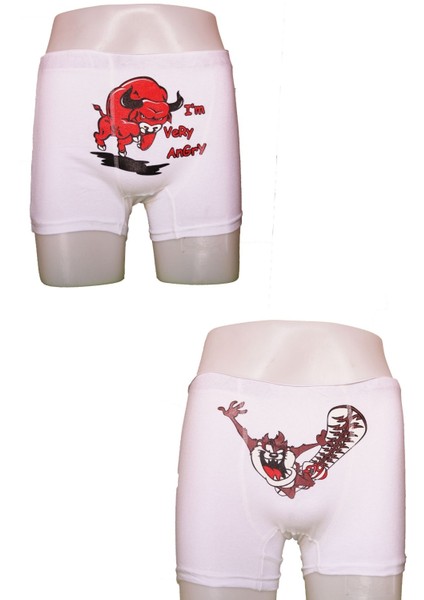 Erkek Baskılı Boğa Tazmanya Boxer Set