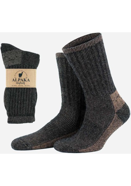 Unisex Alpaka Yünü Havlu Kışlık Antrasit/bej Soket Çorap - A-6005