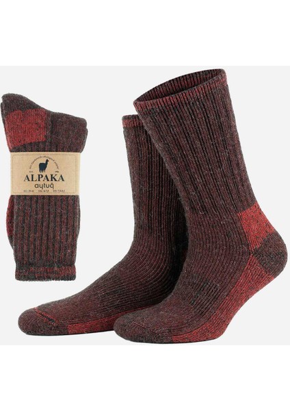 Unisex Alpaka Yünü Havlu Kışlık Kahve/kırmızı Soket Çorap - A-6006