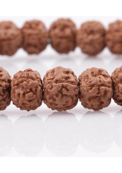Sertifikalı Rudraksha Tohumu Bileklik 6 x 7 mm Rondel Kesim fiyatları
