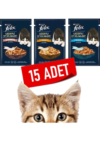 Tasty Shreds - Karışık Somonlu & Tavuklu & Ton Balıklı Yaş Kedi Maması - 80 gr x 15 Adet