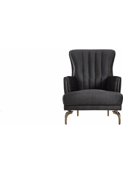 Larissa Berjer Antrasit