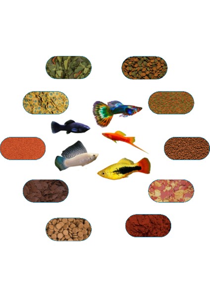 Karma Canlı Doğuran Yem Paketi (Kılıç,moli,lepistes,velifera,plati) 100 Gr/ad (7 Çeşit)