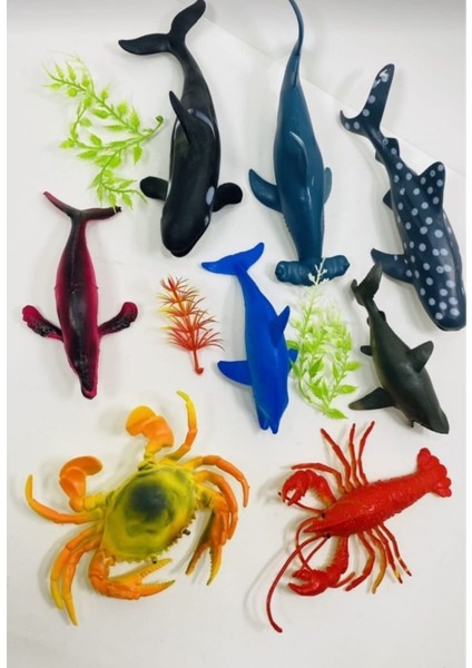 Berattoys Istakoz Yengeç Köpek Balığı Yunus Deniz Canlıları Hayvan Seti 11 Parça