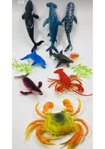 Berattoys Istakoz Yengeç Köpek Balığı Yunus Deniz Canlıları Hayvan Seti 11 Parça fiyatları