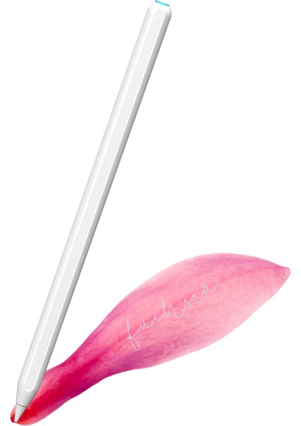 iPad Mini 6 Kablosuz Şarj Olabilen Eğime Duyarlı Avuç Içi Reddetme Özellikli (2. Nesil) Kalem