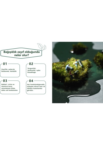 Spirulina Içeren Takviye Edici Gıda