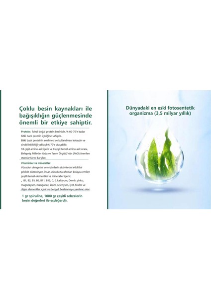 Spirulina Içeren Takviye Edici Gıda