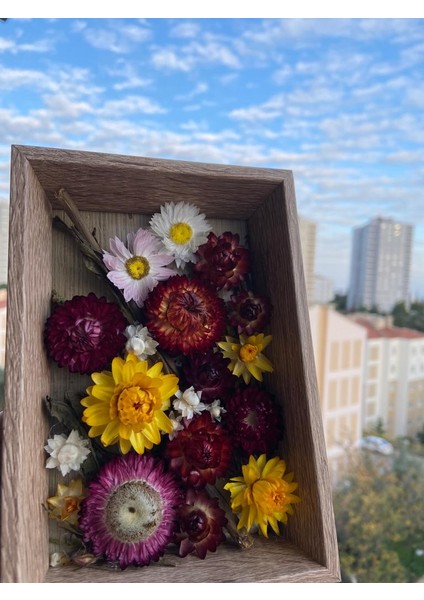 Kuru Çiçeklerle Hazırlanmış Çerçeve E56 fiyatları