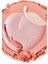 Heart Revolution Fruity Peach Allık 2