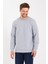 Erkek Rich Gri Bisiklet Yaka Normal Kesim 3 Iplik Sweatshirt 3