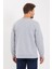 Erkek Rich Gri Bisiklet Yaka Normal Kesim 3 Iplik Sweatshirt 5