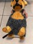 El Örgüsü Kedi Köpek Kıyafeti Pet Shop Hayvan Giyim 3