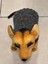 El Örgüsü Kedi Köpek Kıyafeti Pet Shop Hayvan Giyim 5