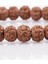 Sertifikalı Rudraksha Tohumu Bileklik 6 x 7 mm Rondel Kesim 2