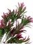 Yapay Çiçek Yeşil Bordo Renk Podocarpus Demeti 7dal 48 Çiçek Garnitür Aradal Dekoratif Yapay Bitki 3